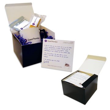 Direct Mail Promotional Lead-In