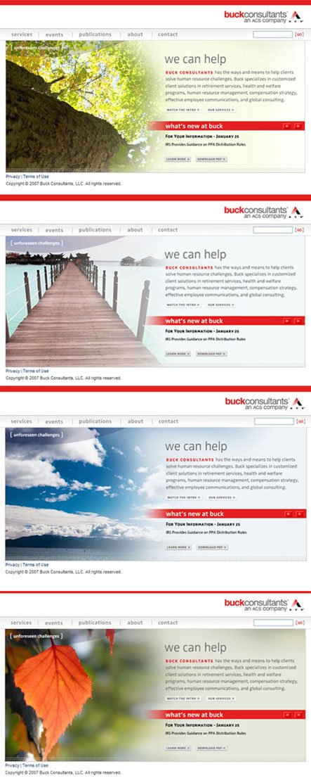 Buck Consultants Website