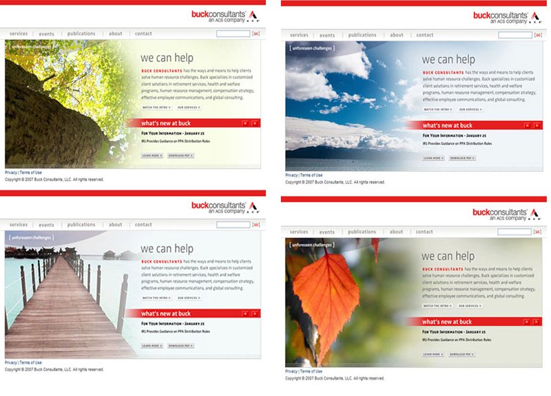 Buck Consultants Website