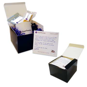 Direct Mail Promotional Lead-In Direct Mail Promotional Lead-In