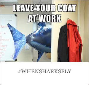 #WMWhenSharksFly